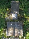 image of grave number 124067